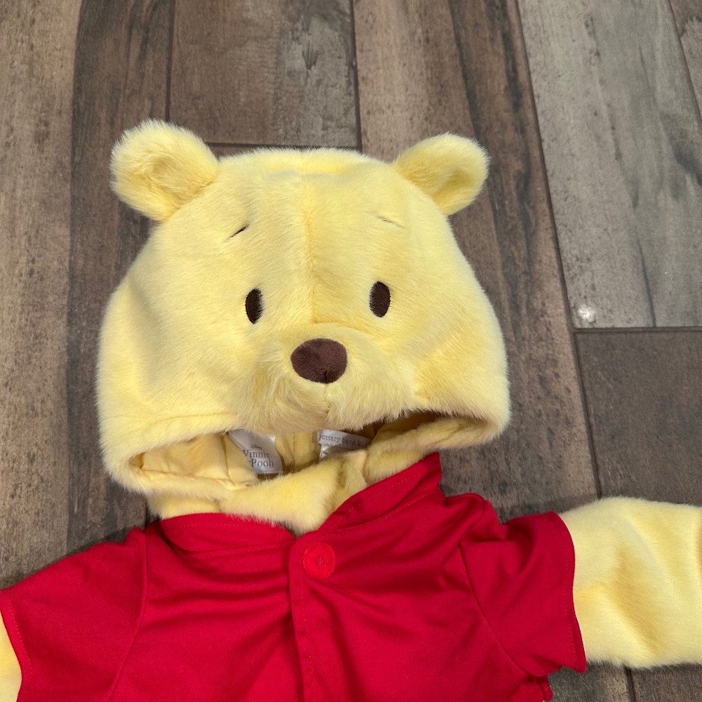 Disney Winnie the Pooh Halloween Costume - Picture 6 of 9